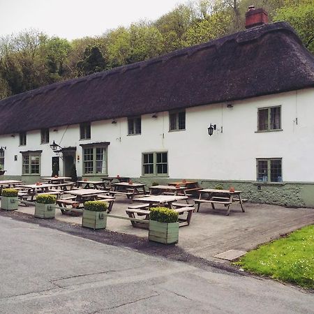 Hambro Arms Hotel Milton Abbas Exterior photo